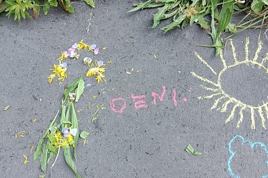 Obrázek č.30